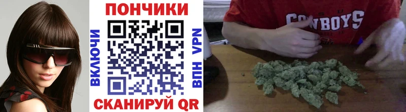 Бошки марихуана AK-47  Купить закладки  Ершов 